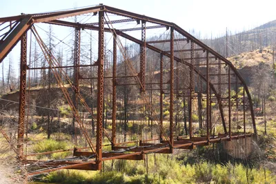 DSC_6472 (Large).JPG